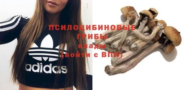 соль курить ск Вяземский