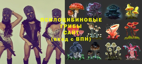 соль курить ск Вяземский